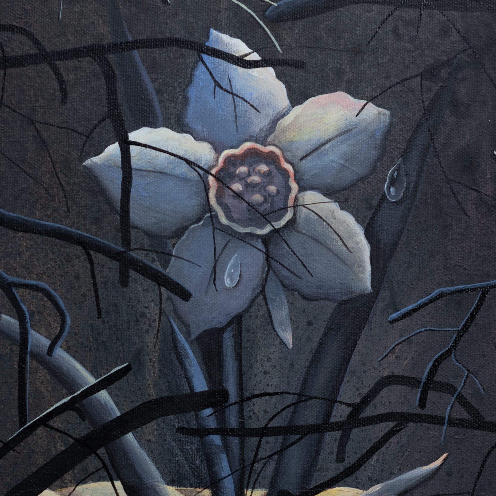 Homa Khosravi, Daffodil, acrylic on canvas, 13 x 12 inches, 2024